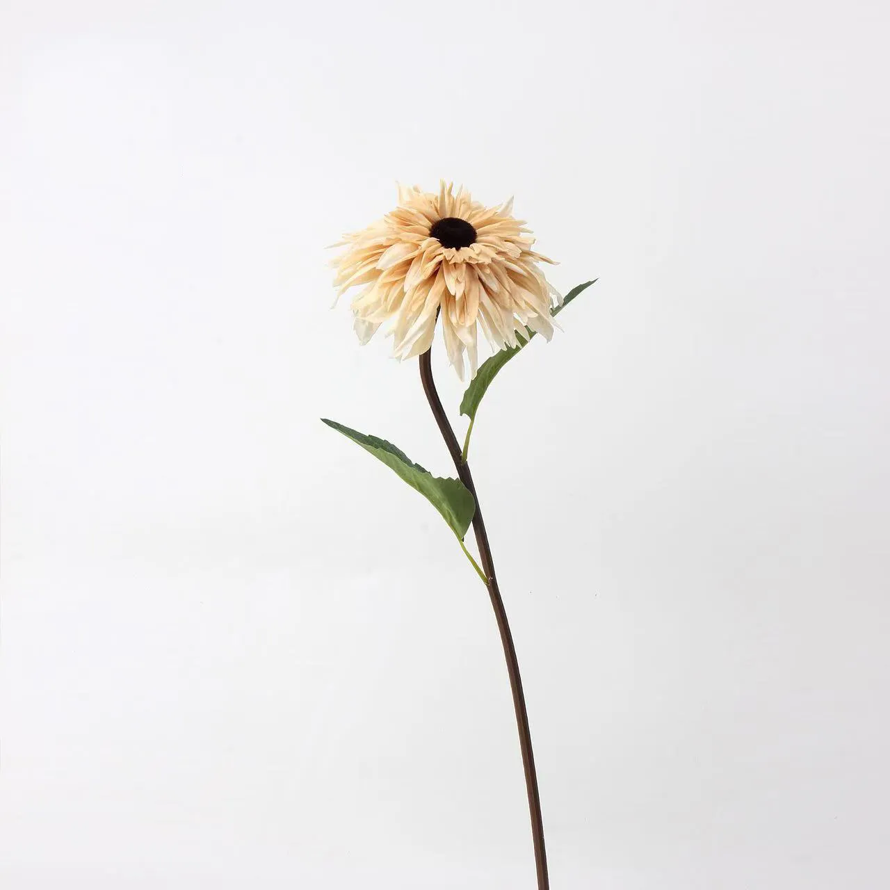 масляная живопись подсолнуха