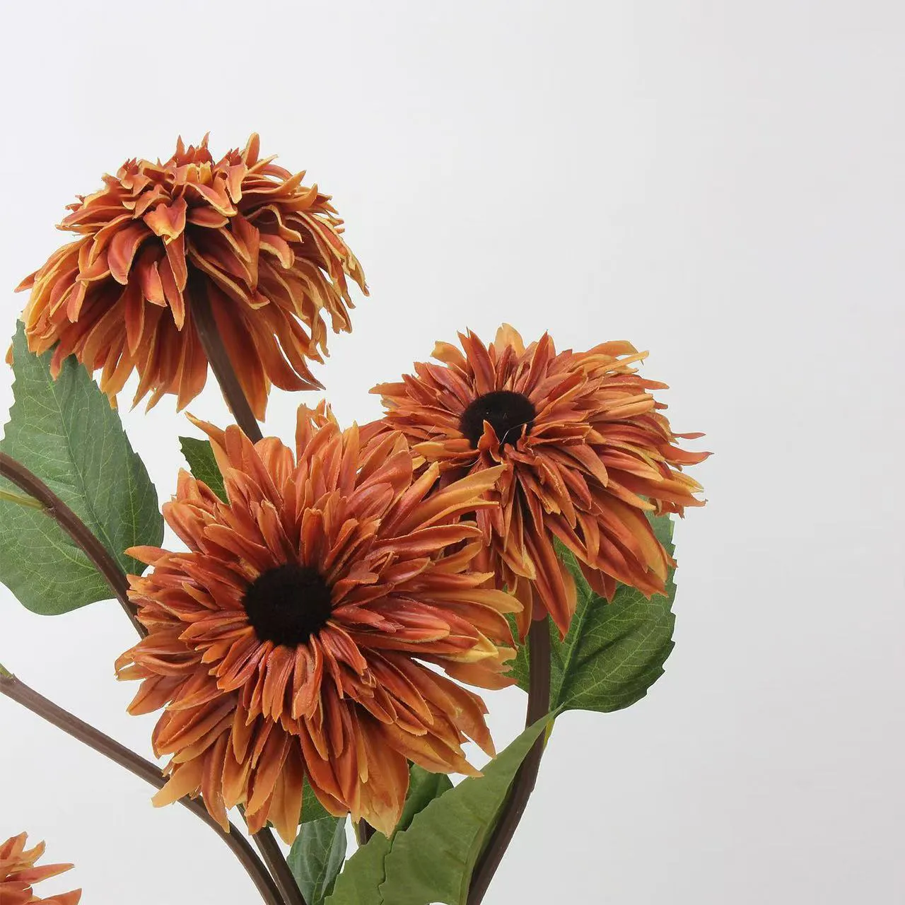 масляная живопись подсолнуха