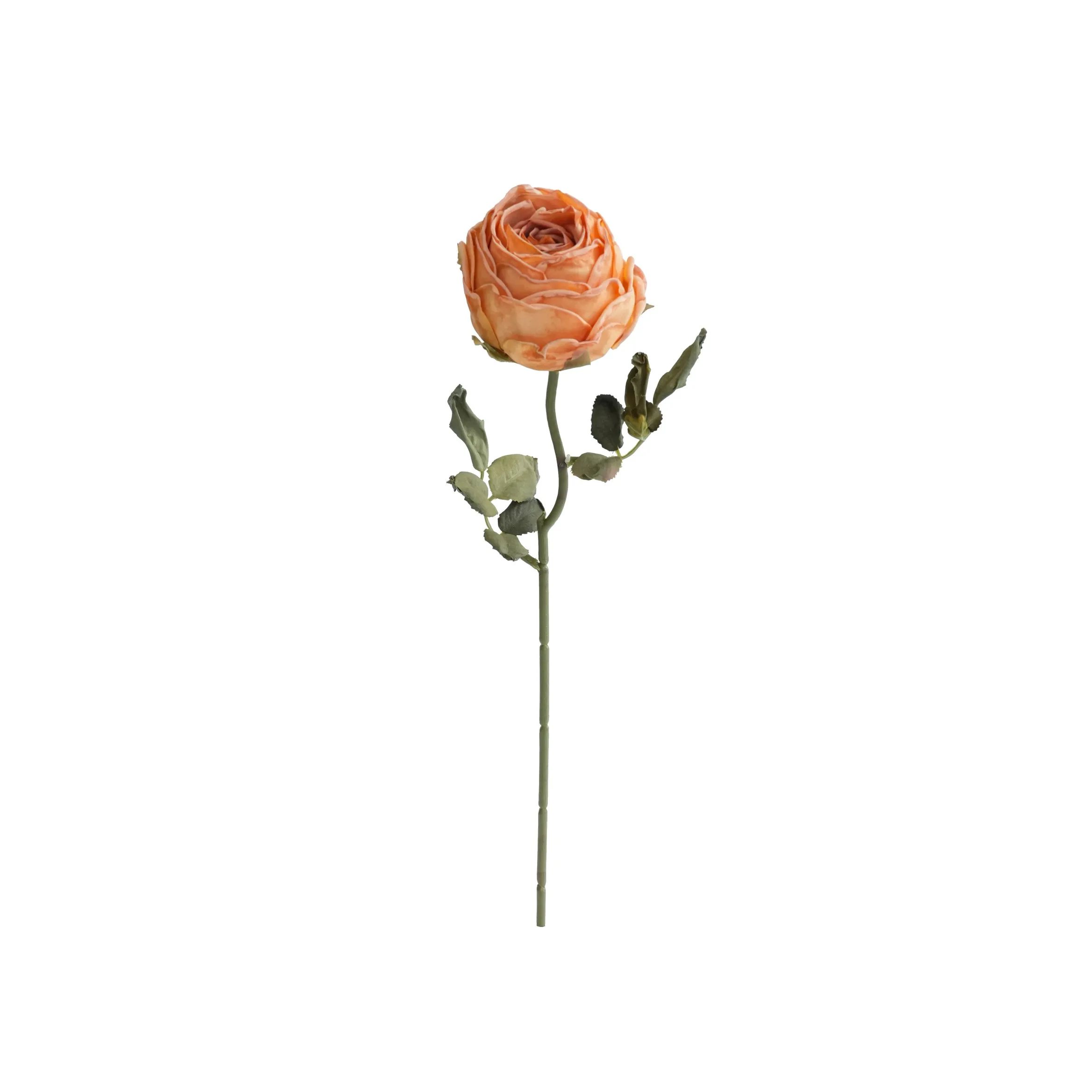 Нарезанные круглыми розами