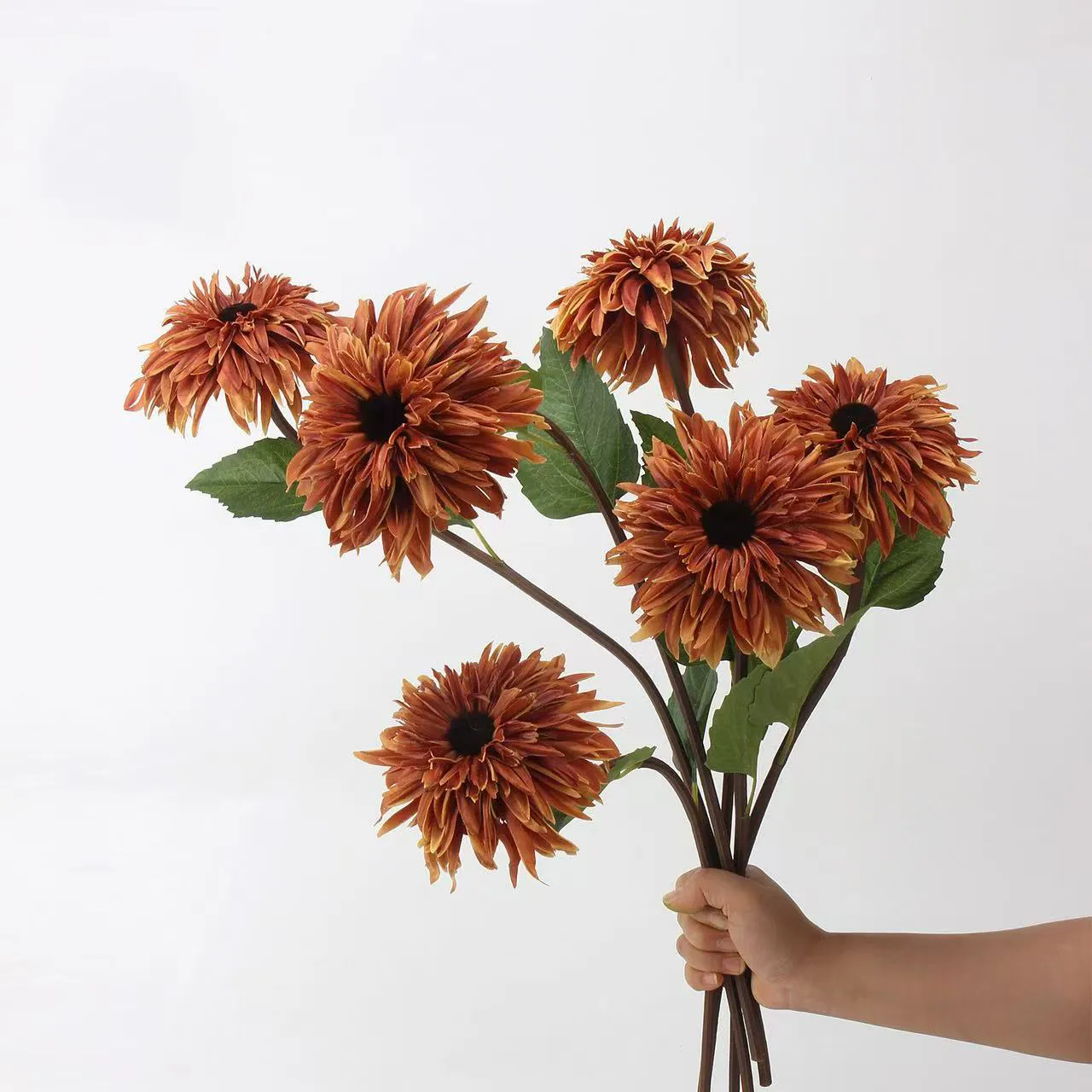 масляная живопись подсолнуха